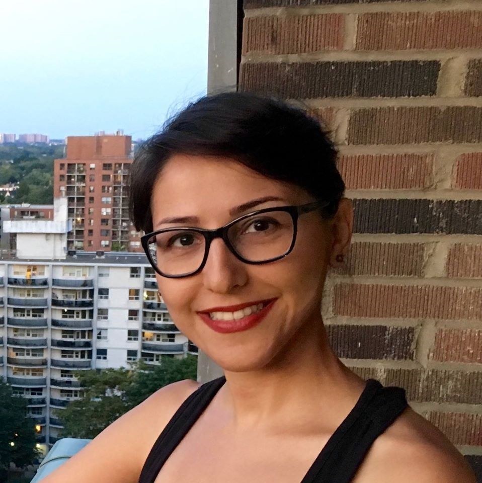  Bahareh Ameri