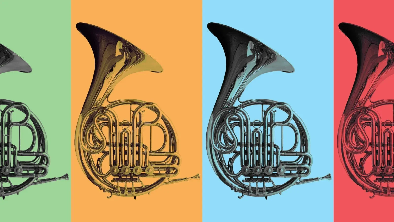 horns